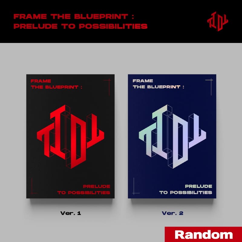 TIOT - Frame the Blueprint : Prelude to Possibilities (Random)