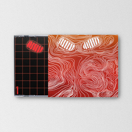 Hong Dabin (DPR LIVE) – senseS