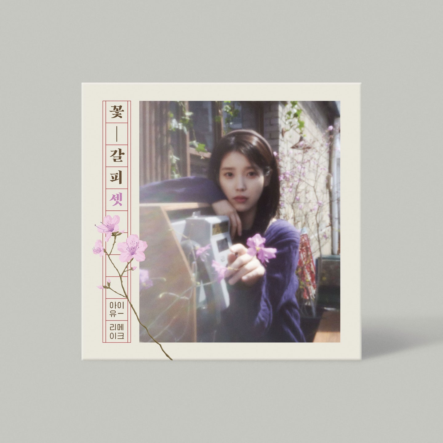 IU Remake Album – 꽃갈피 셋 (Kkot-Galpi)