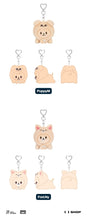 Load image into Gallery viewer, PRE-ORDER: Stray Kids – [dominATE : celebrATE] SKZOO KEYRING LYING Ver.
