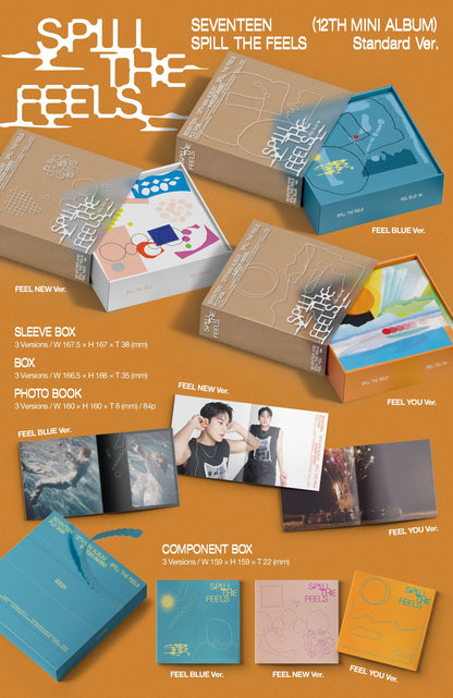 [PRE-OWNED] SEVENTEEN 12th Mini Album - SPILL THE FEELS (Standard Ver.)