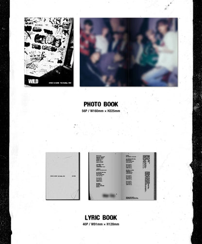 &TEAM 1st Album - First Howling : NOW [Japanese Edition]