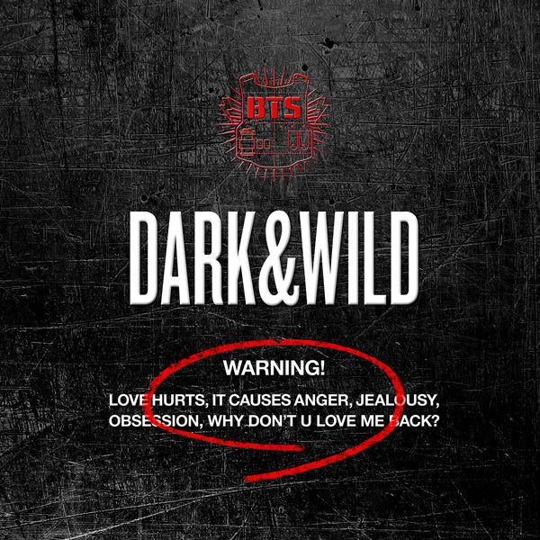 BTS Album Vol. 1 - Dark&Wild