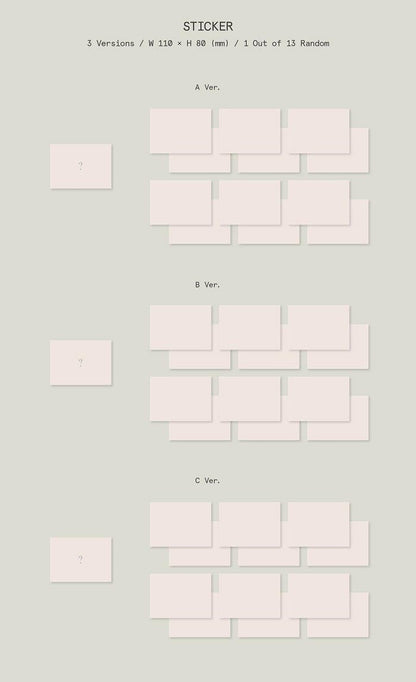Seventeen Mini Album Vol. 10 - FML (Random)