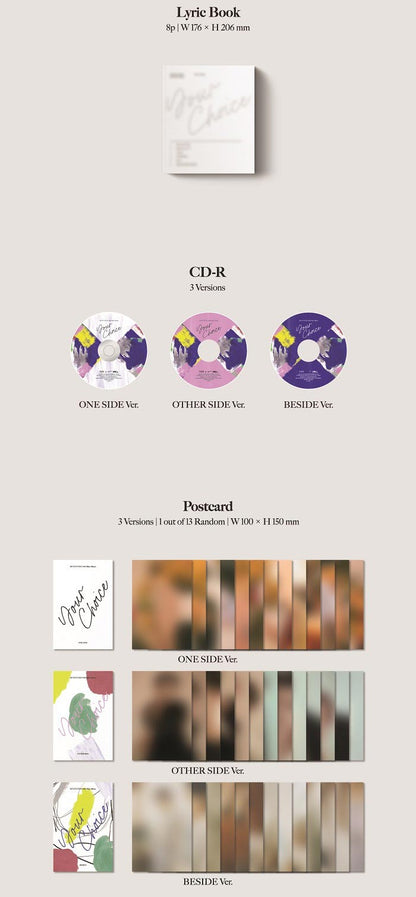 Seventeen Mini Album Vol. 8 - Your Choice (Random)