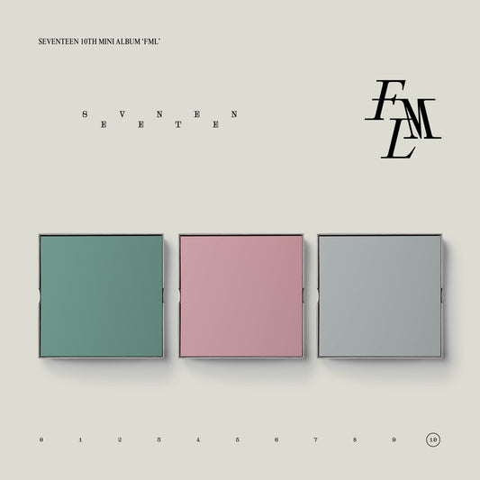 Seventeen Mini Album Vol. 10 - FML (Random)